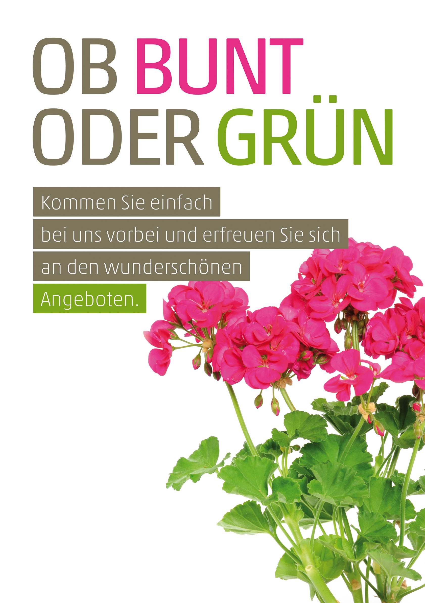 Plakat A1 Ob Bunt oder Grün