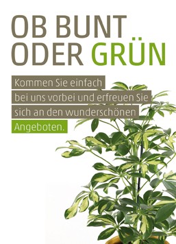 Anzeige Ob Bunt oder Grün