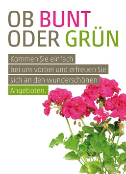 Anzeige Ob Bunt oder Grün 