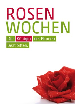 Anzeige Rosen