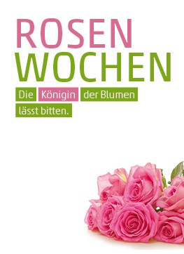 Anzeige Rosen