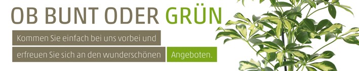Banner Ob Bunt oder Grün 