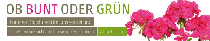 Banner Ob Bunt oder Grün