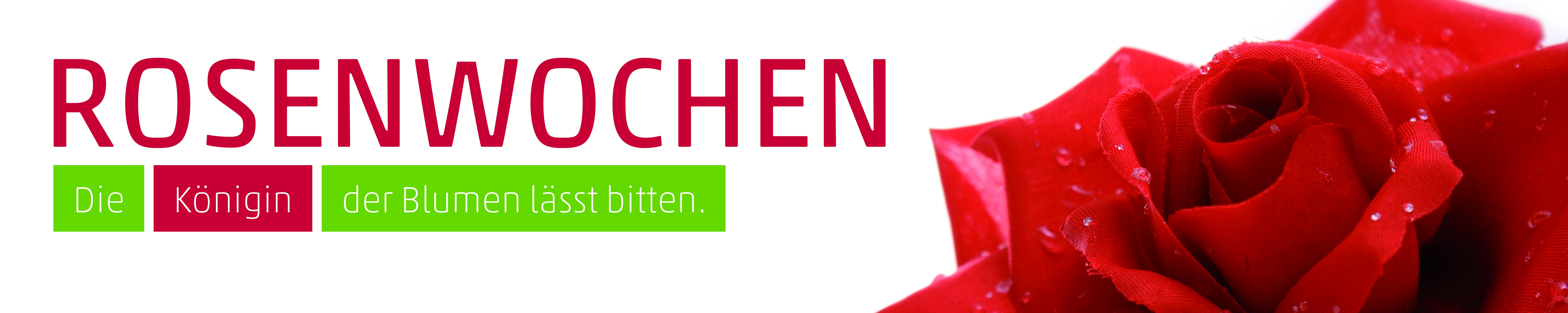 Banner Rosen