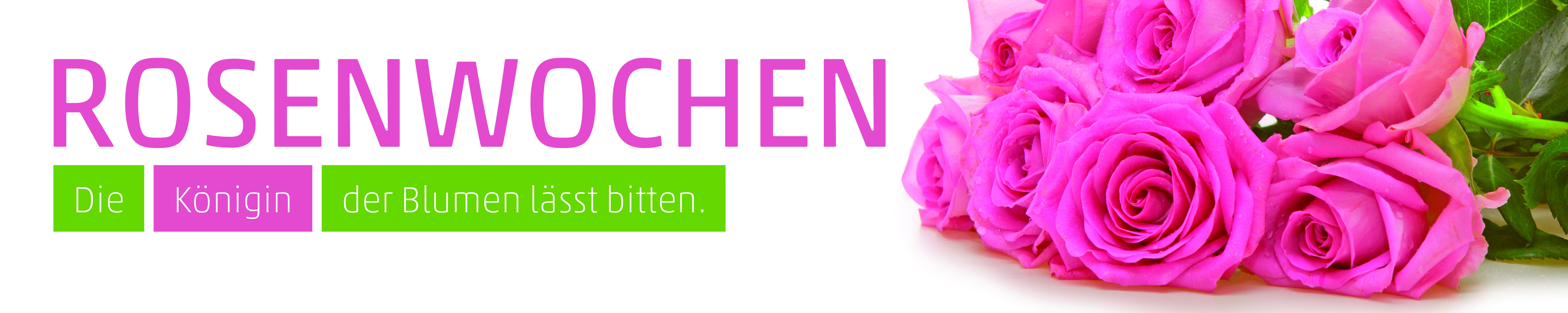Banner Rosen