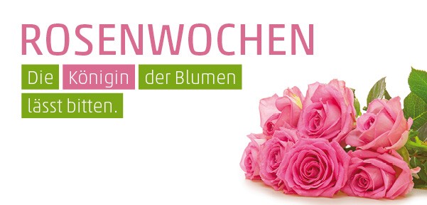 Einladung Rosen