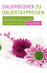 Etikett Dauerblüher