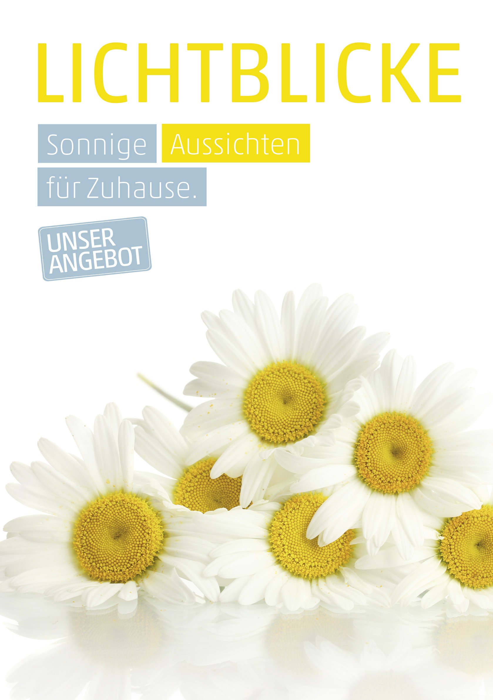 Plakat DIN A1 Margerite