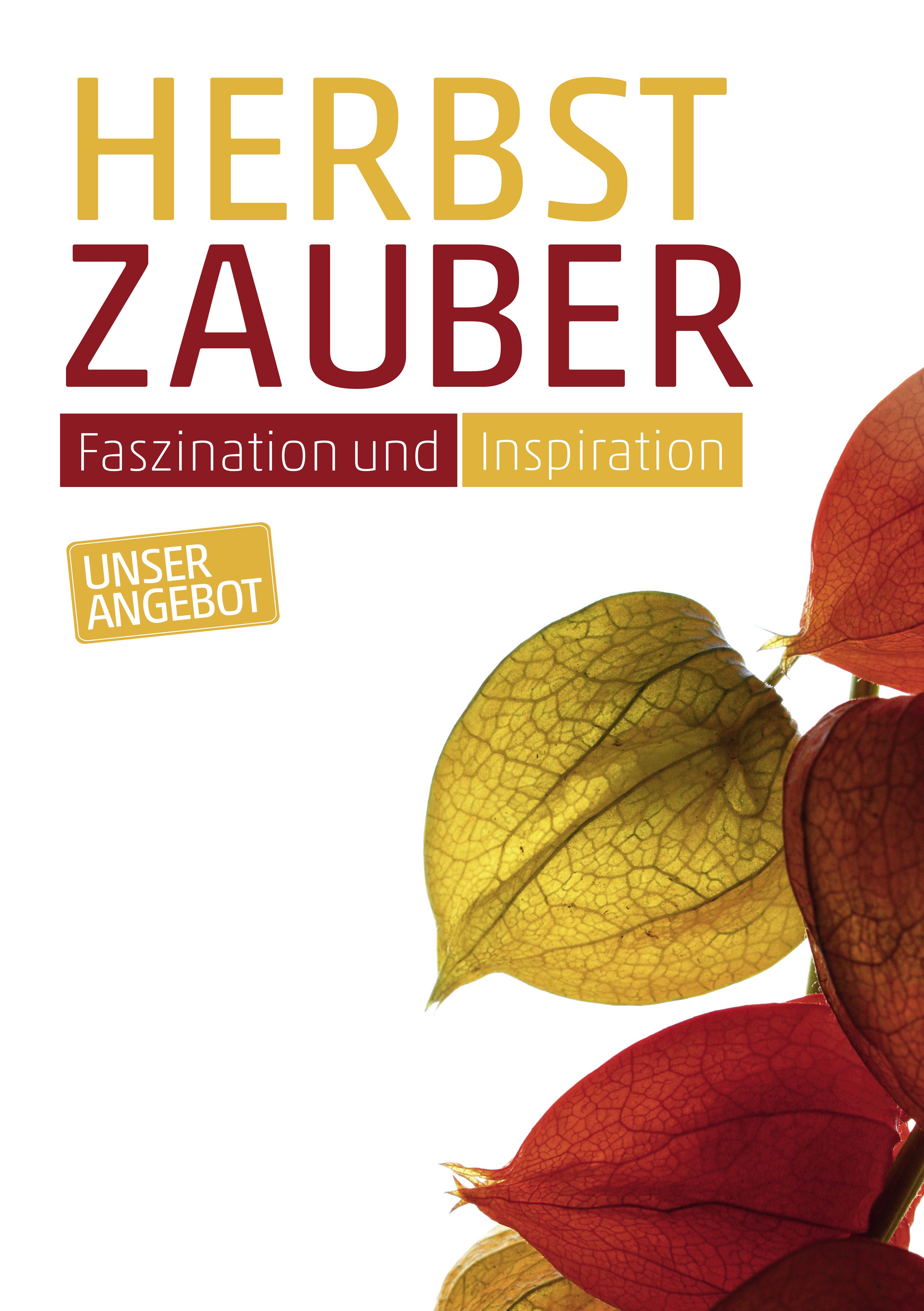 Plakat A1 Lampionblume