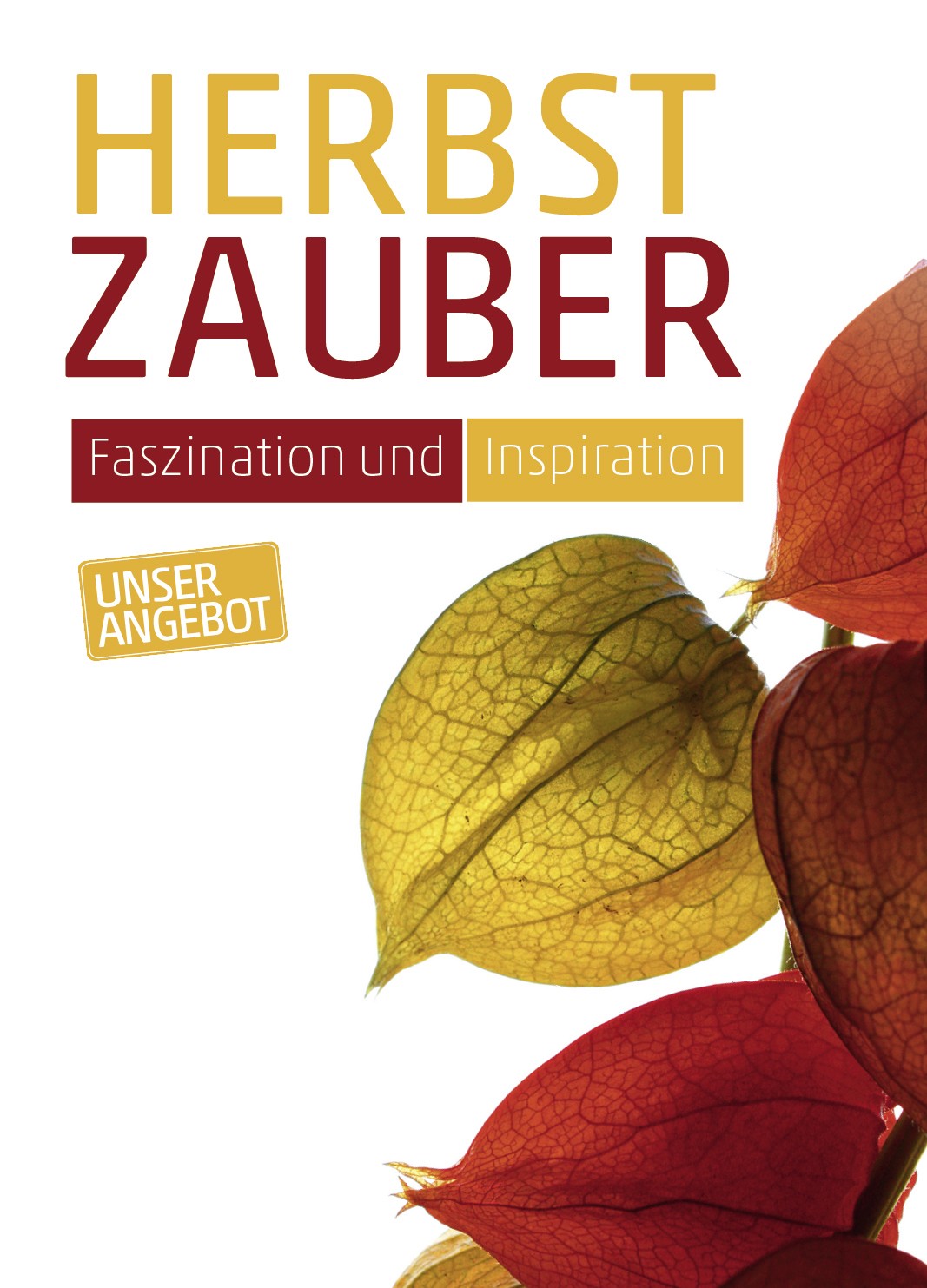 Anzeige Lampionblume