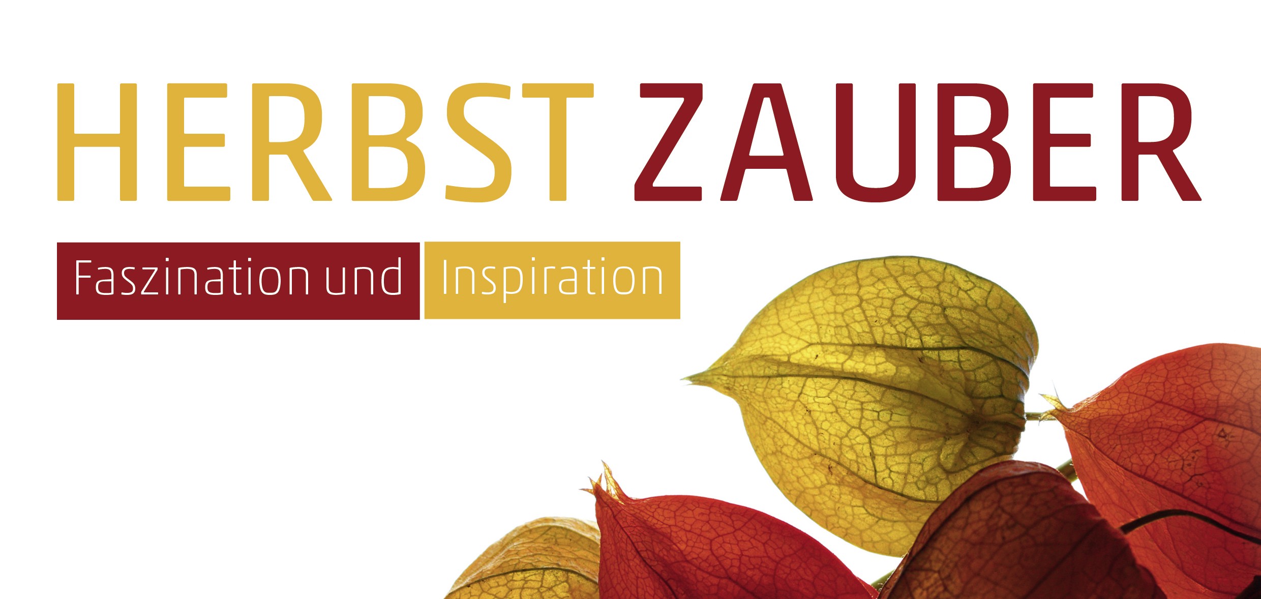 Einladung Lampionblume