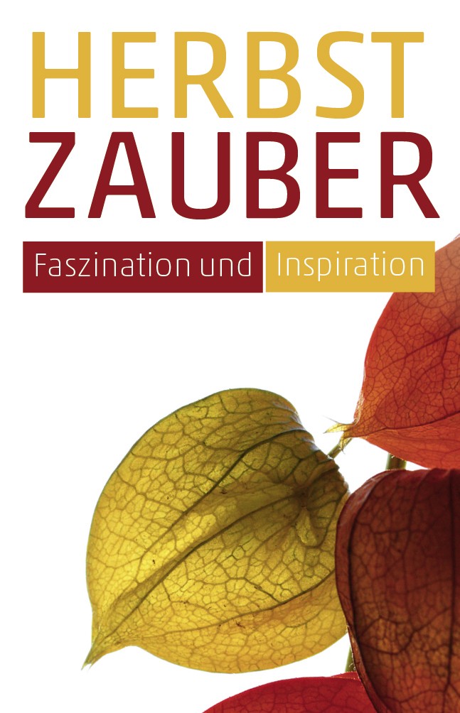 Etikett Lampionblume