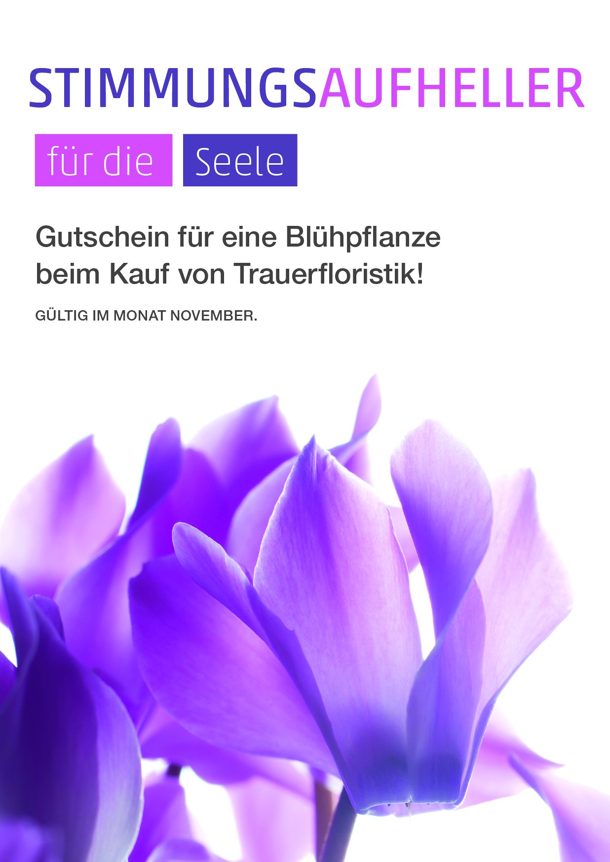 Postkarte Gutschein Blühpflanze