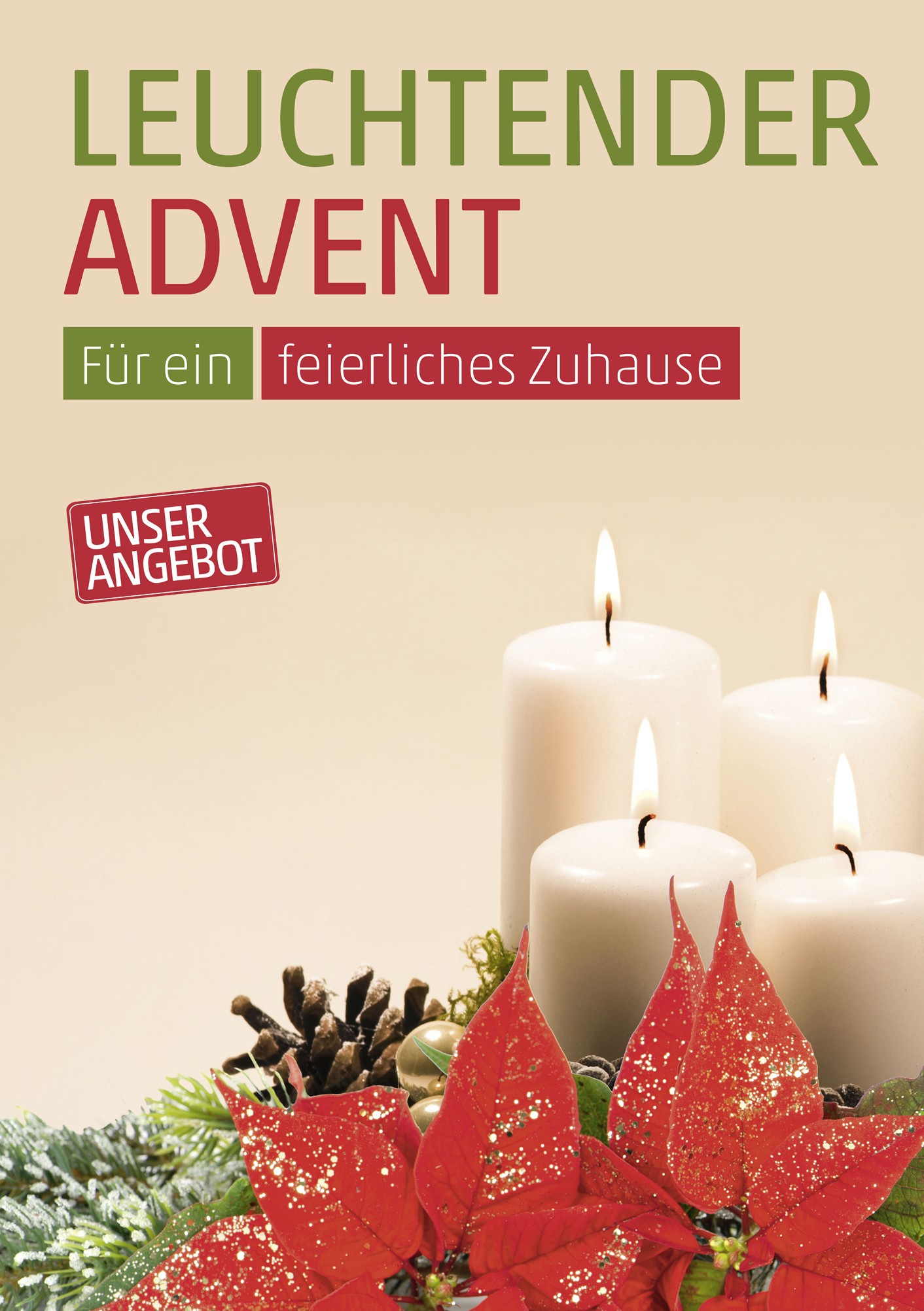 Plakat A1 Weihnachtsstern