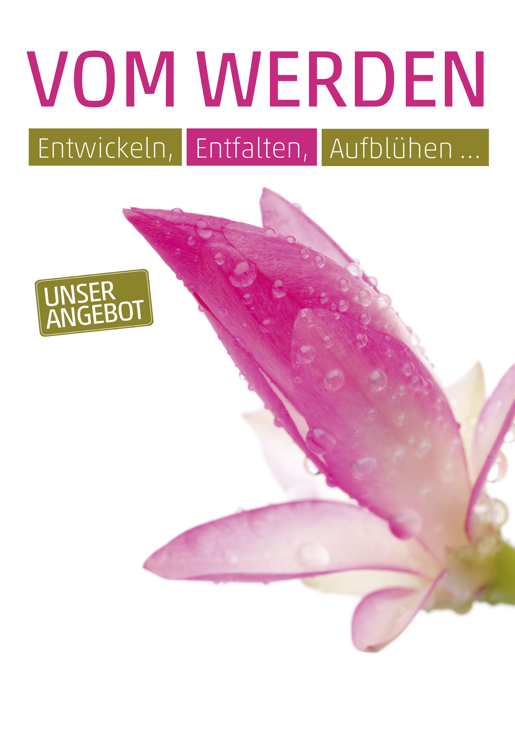 Plakat A1 Weihnachtskaktus