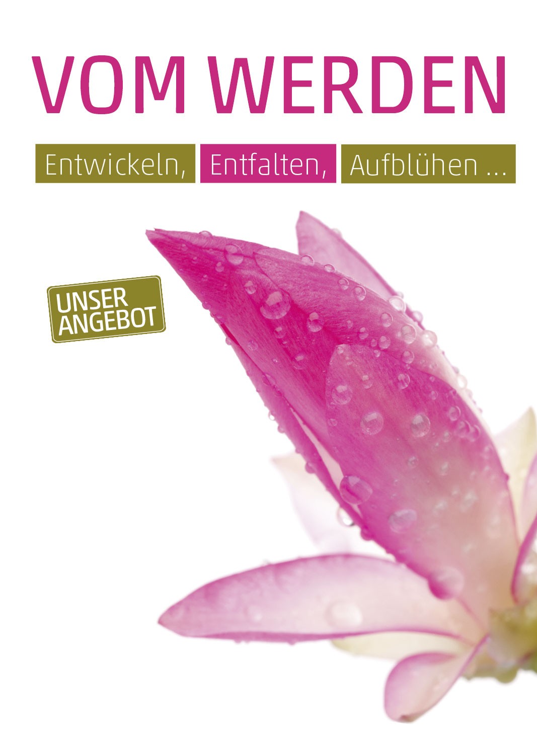 Anzeige Weihnachtskaktus