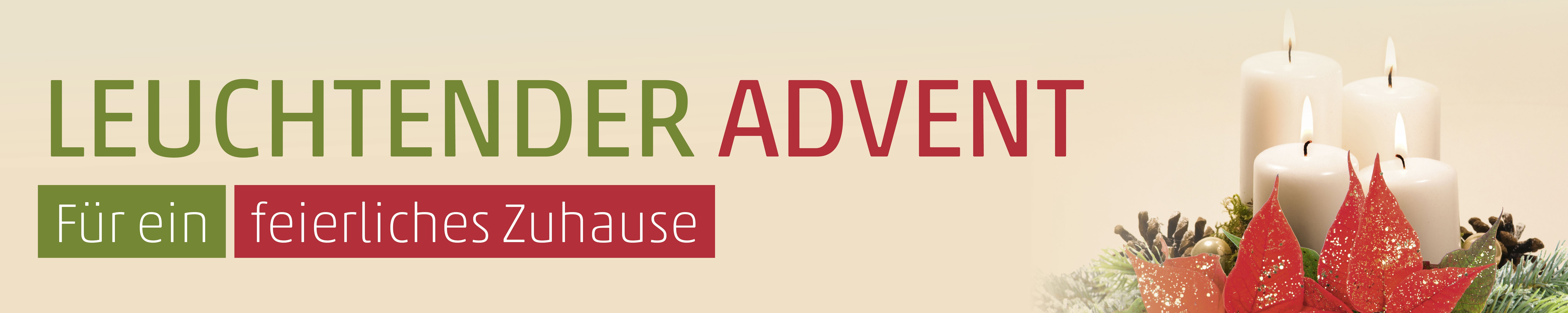 Banner Weihnachtsstern