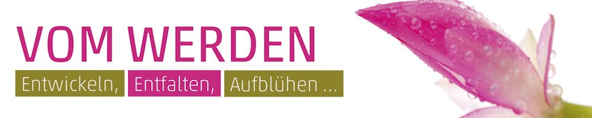 Banner Weihnachtskaktus