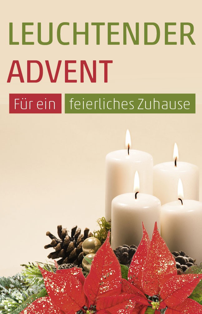 Etikett Weihnachtsstern