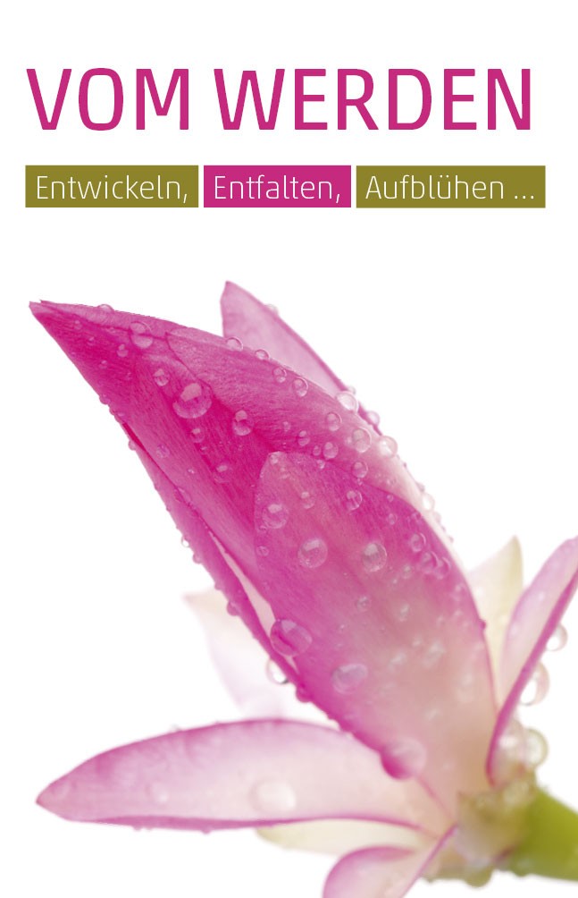 Etikett Weihnachtskaktus