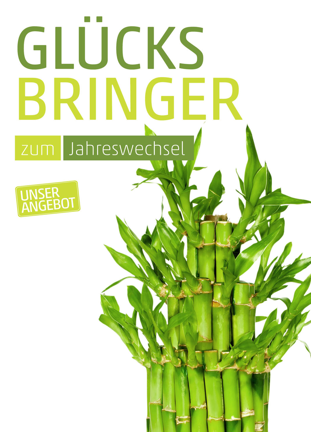 Plakat Din A1 Bambus