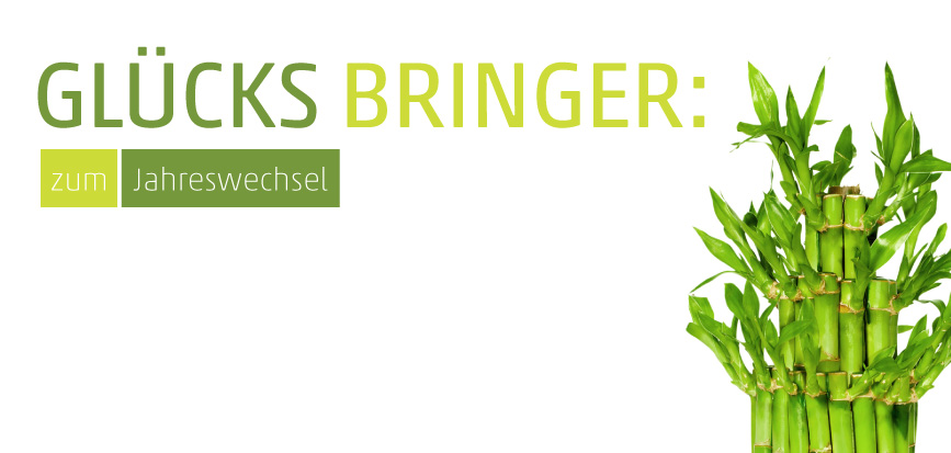 Neujahrsgruesse Bambus
