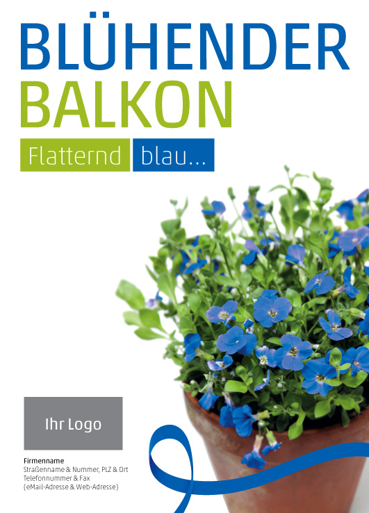 Anzeige Balkonpflanze