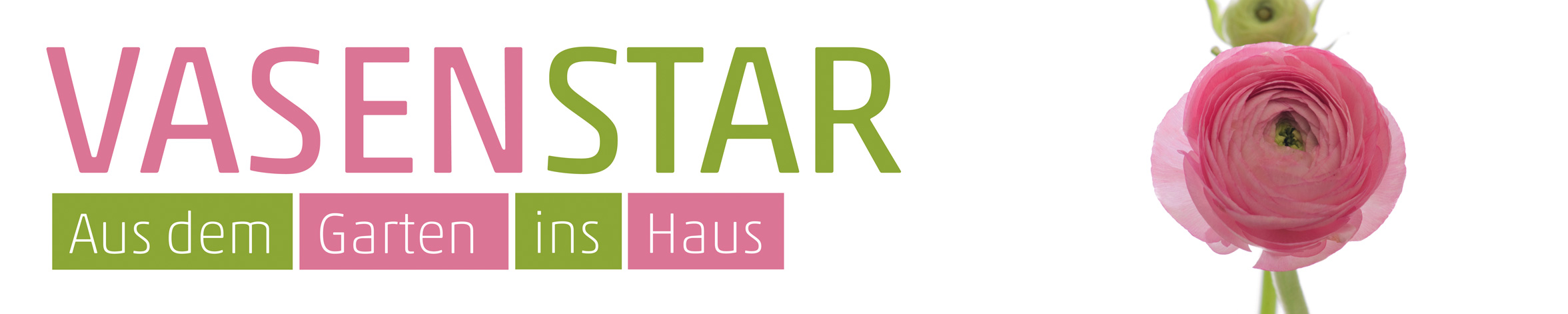 Banner Ranunkeln