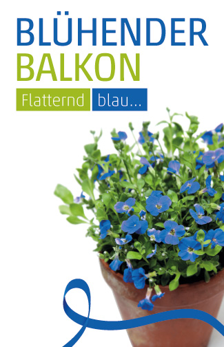 Etikett Balkonpflanze