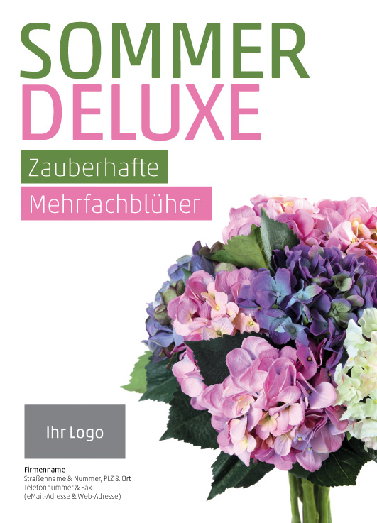 Anzeige Hortensien