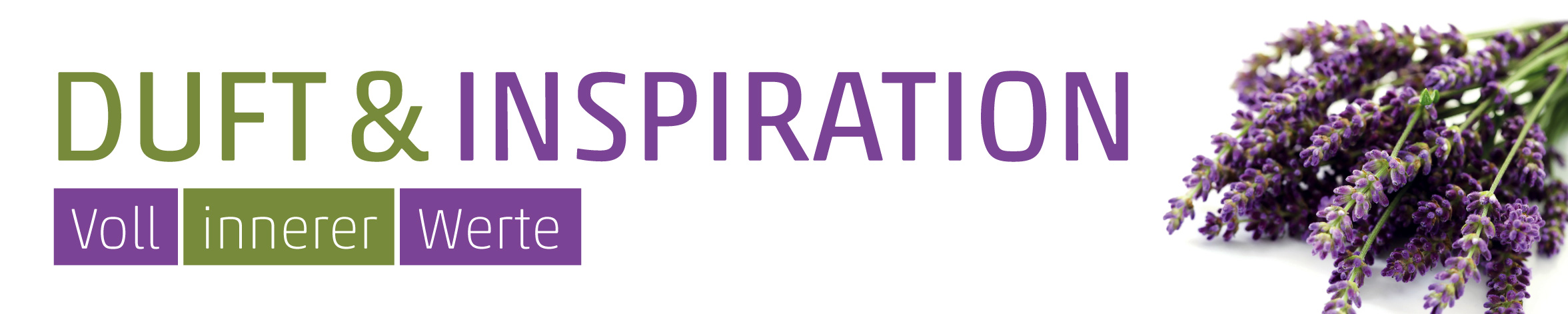 Banner Lavendel