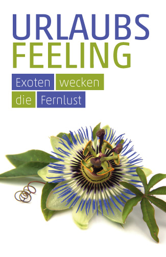 Etikett Passionsblume