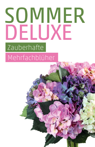 Etikett Hortensien