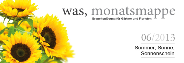 06/2013 Sommer, Sonne, Sonnenschein