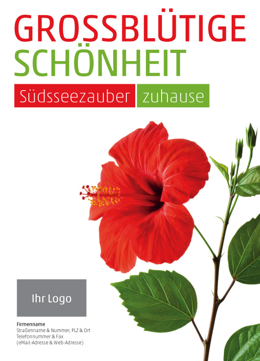 Anzeige Hibiskus
