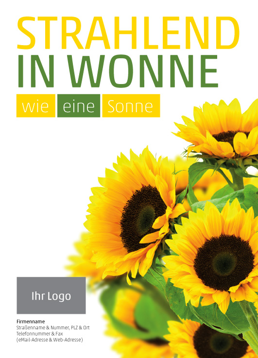 Anzeige Sonnenblume