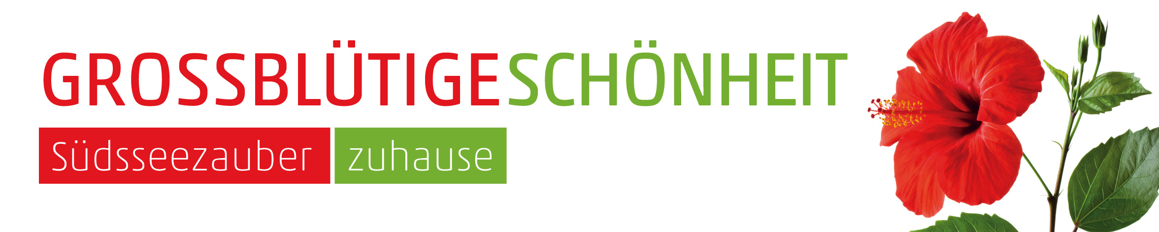 Banner Hibiskus