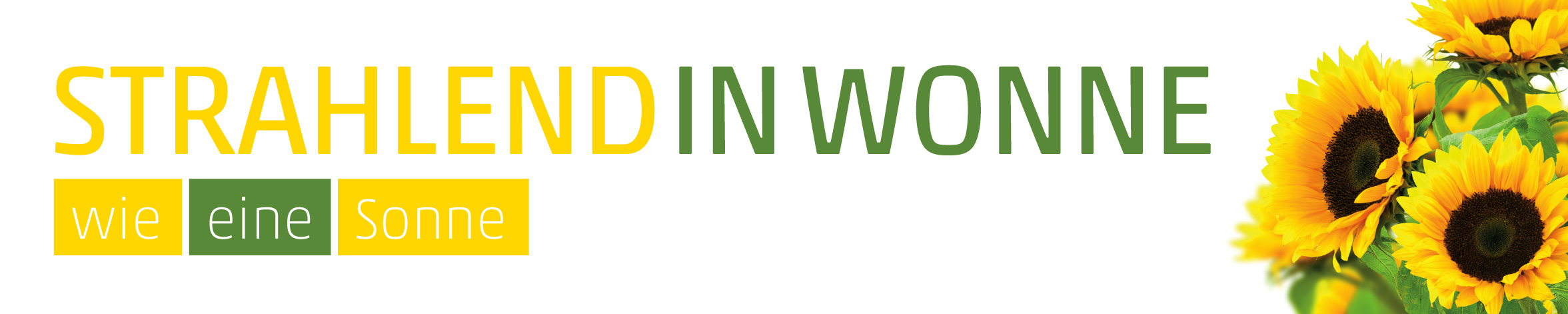 Banner Sonnenblume