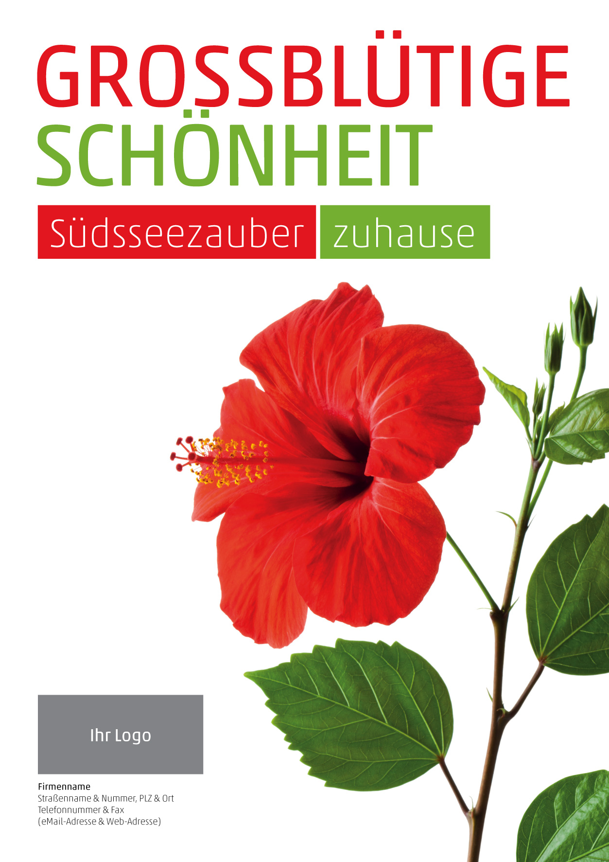 Plakat Hibiskus