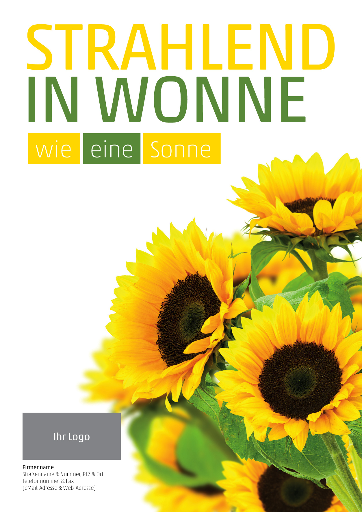 Plakat Sonnenblume