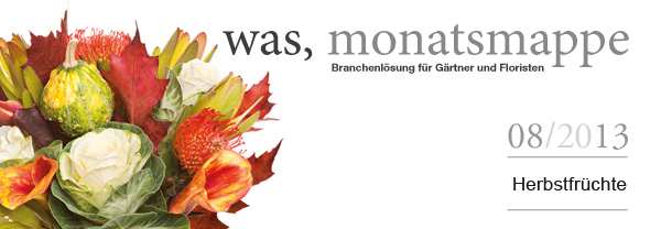 08/2013 Herbstfrüchte