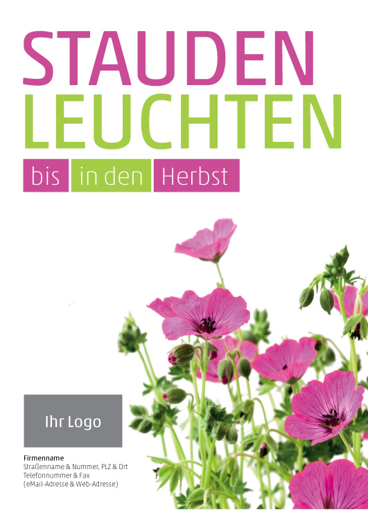 Anzeige Staudenleuchten