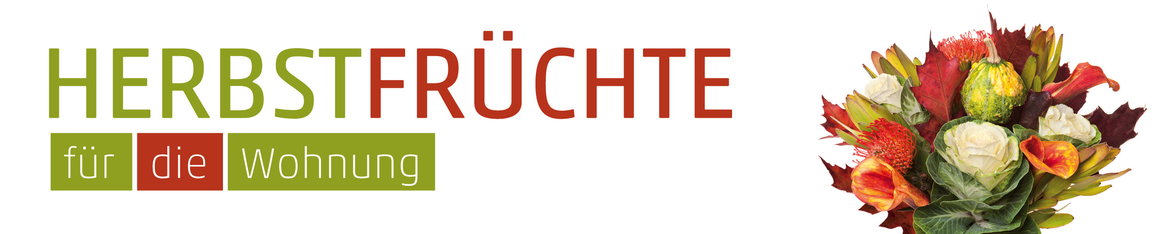 Banner Herbstfrüchte 