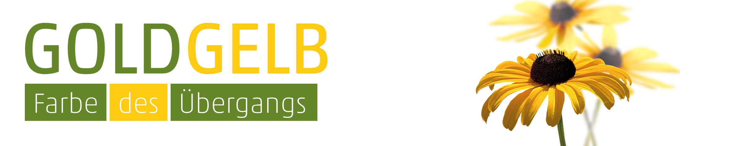 Banner Goldgelb  