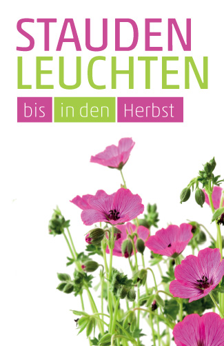 Etikett Staudenleuchten