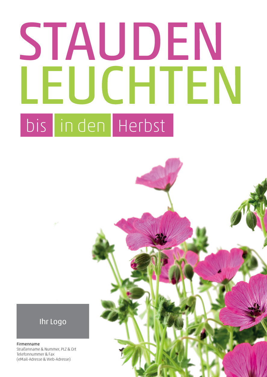 Plakat Staudenleuchten