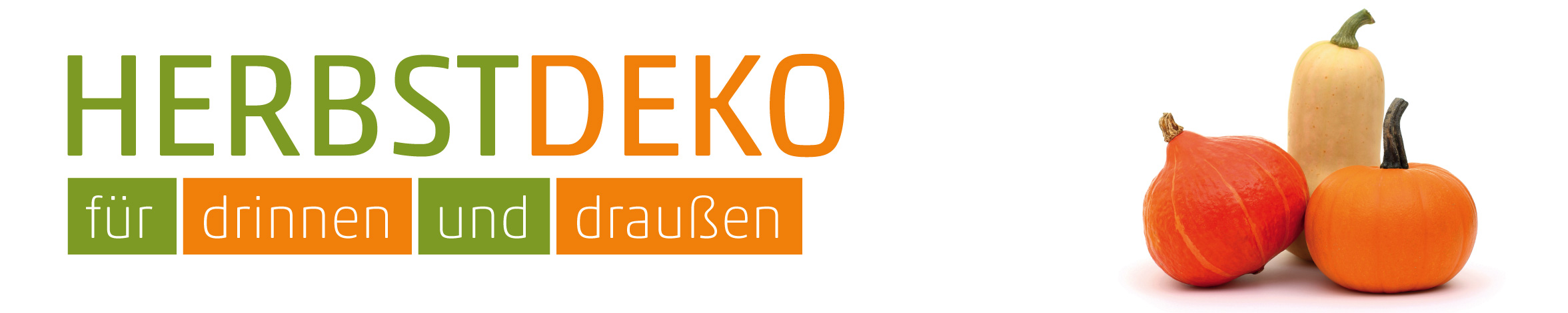 Banner Herbstdeko mit Kürbissen