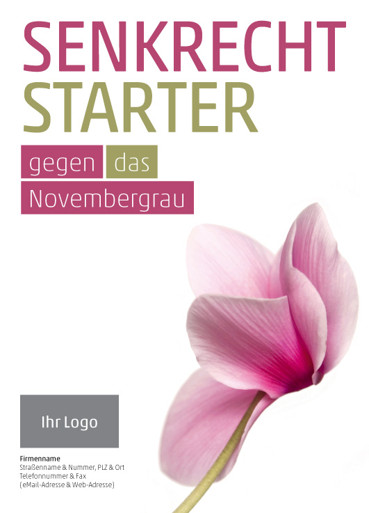 Anzeige Alpenveilchen