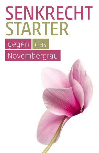 Etikett Alpenveilchen