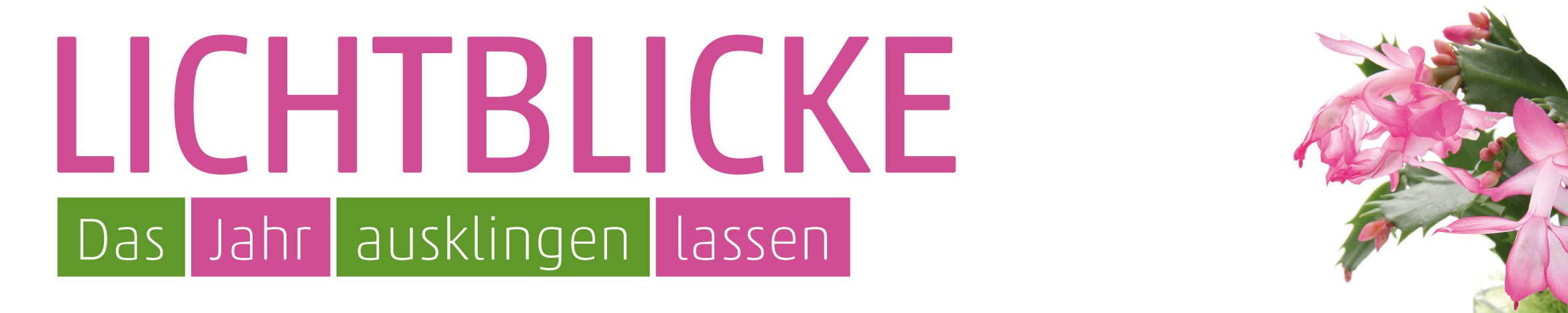 Banner Lichtblicke